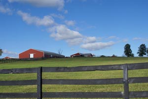 ABS-Steel Stony Ford Ranch