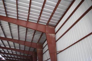 ABS-Steel Taylor BioMass